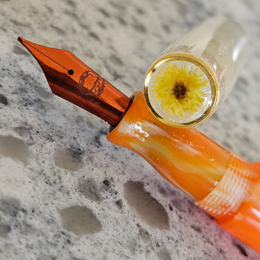 Candy Corn/Aster - MEDIUM NIB